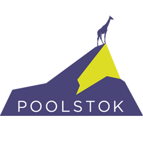 Poolstok